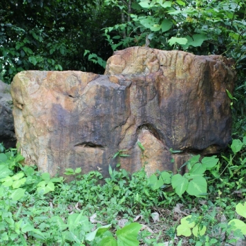 园林奇石