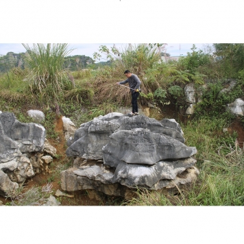 黔东南园林景观石