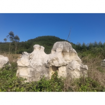 台州园林景观石